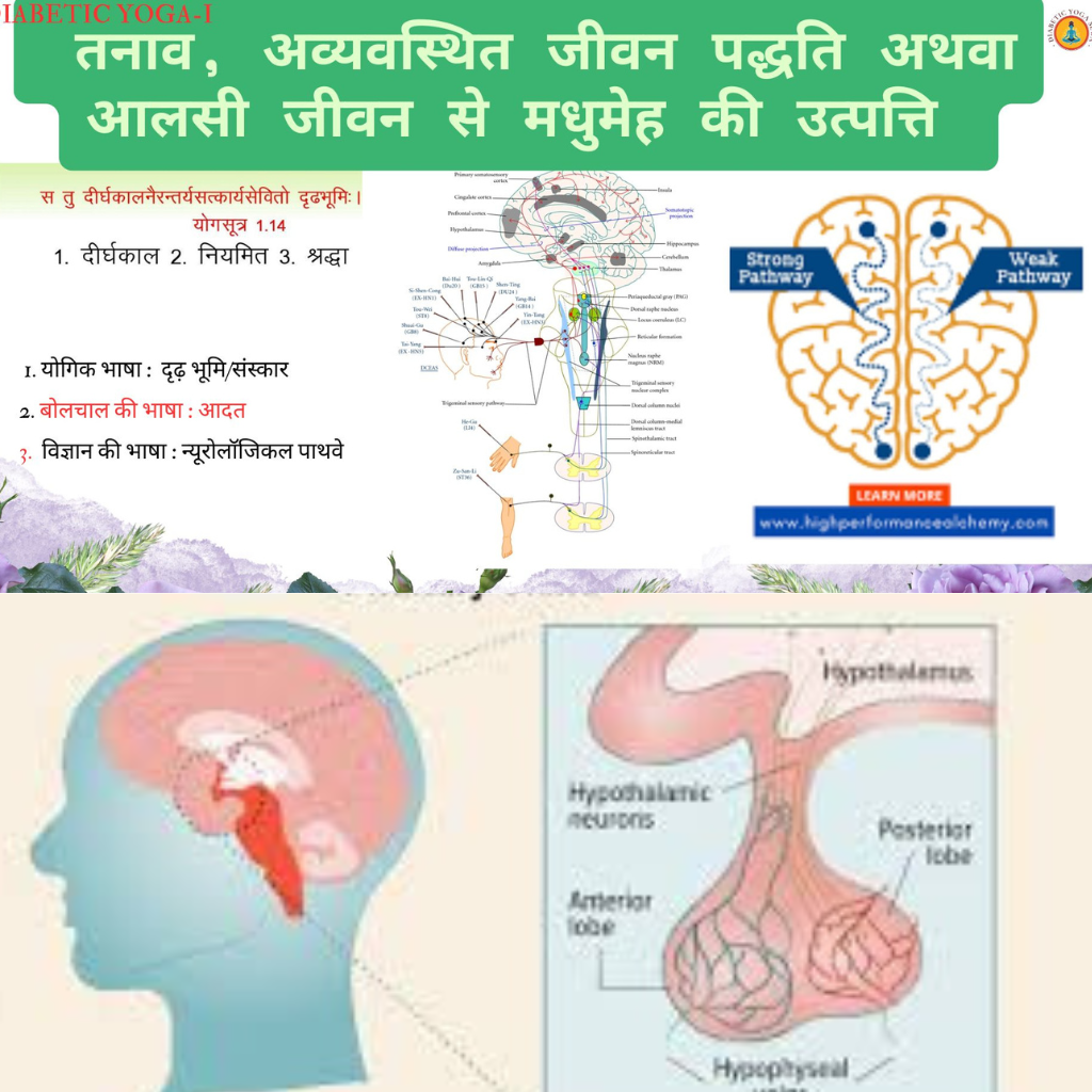 Diabetes Reversal Yoga Protocol untitled design (3)